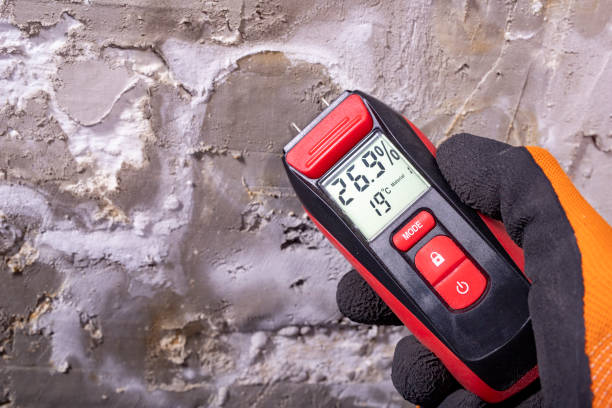 Best Water Damage Restoration  in Centuria, WI