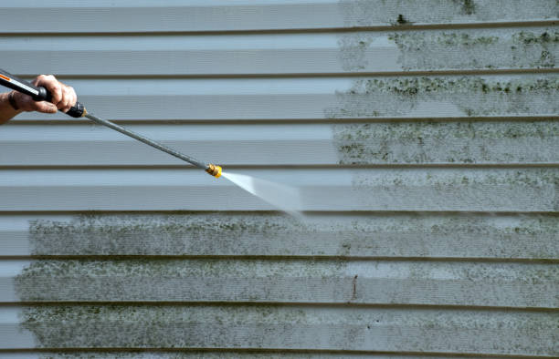 Best Mold Cleaning Services  in Centuria, WI