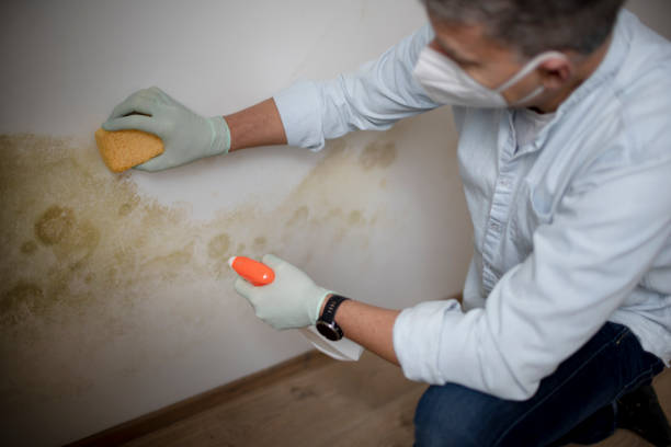 Best Residential Mold Removal  in Centuria, WI