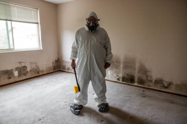 Best Mold Inspection  in Centuria, WI